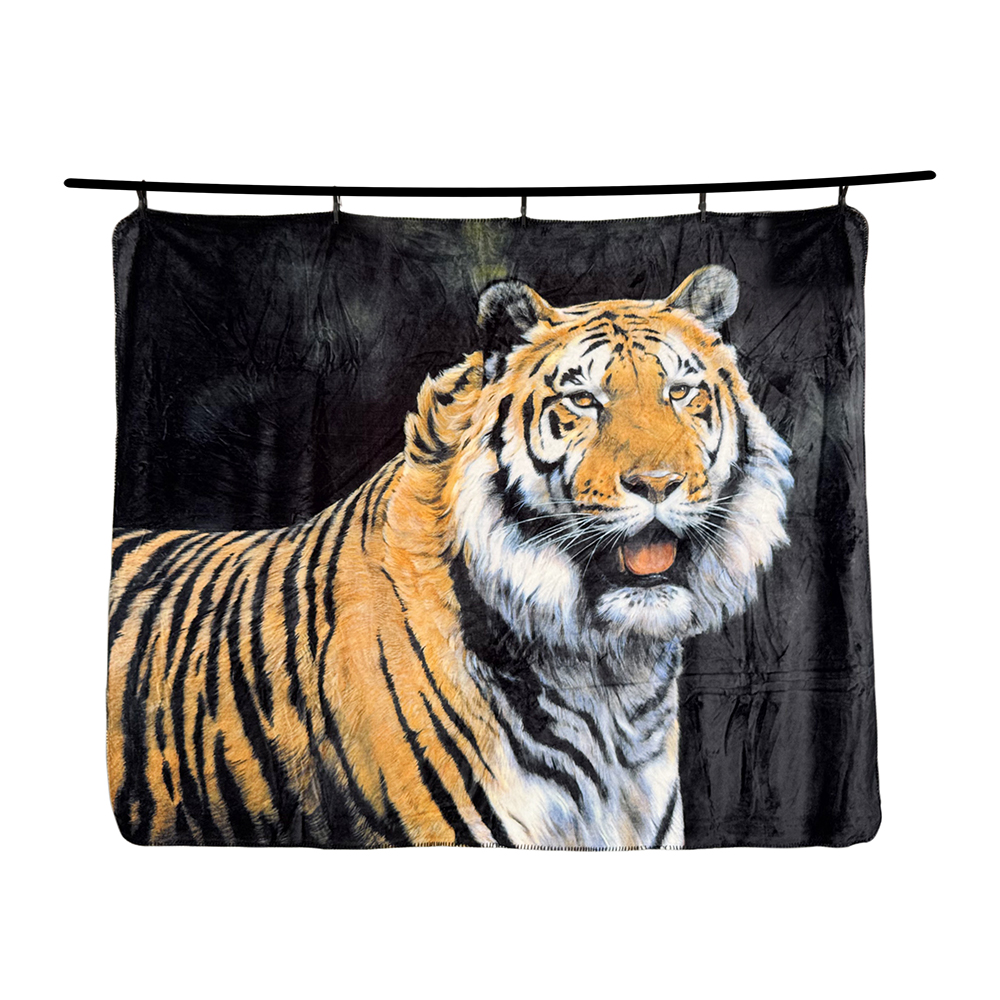 OEM Custom 100% Polyester Flannel Blanket Warm Soft Sofa Throw for Winter King Size Logo Printing blanket for winter